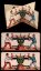 Animateur vers 1870   — vue 17